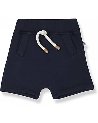 1 + in the family Bermuda - Night Blue - Cotton Shorts