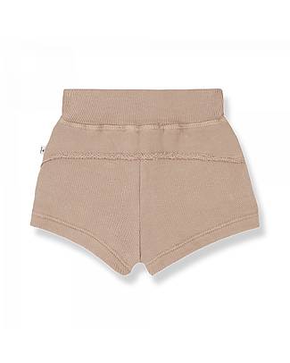 1 + in the family Shorts - Rose - Cotton Shorts