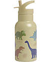 Stainless Steel Drink Bottle - 350ml - Dinosaurs