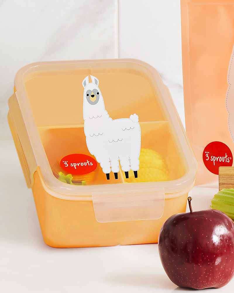 Lunch Box With Compartments 