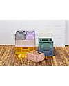 3 Sprouts Modern Folding and Stackable Crate - Recycled Plastic - Large - Pink - 43,18 x 29,21 x 17,78 cm Storage organisers