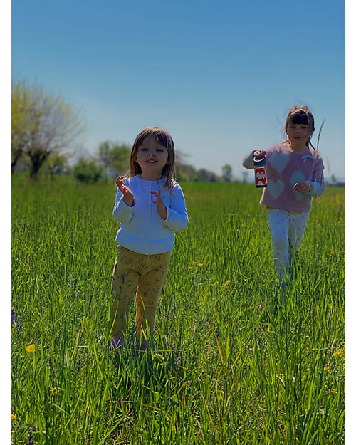 3 Sprouts Water Bottle with Spout - Fox - 350 ml - BPA e phthalate free Non-Thermal Water Bottles