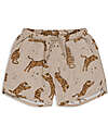 Asnou Shorts - Tiger - with tie at the waist