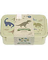 A Little Lovely Company Bento Lunch Box - Dinosaurs - with Removable Compartments Snack Boxes