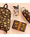 A Little Lovely Company Lunch Box - Bears - BPA Free! Snack Boxes