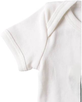 A Muffin in the Oven Milestone Onesie with Short Sleeves - Sleep - 100% Pima Cotton Short Sleeves Bodies