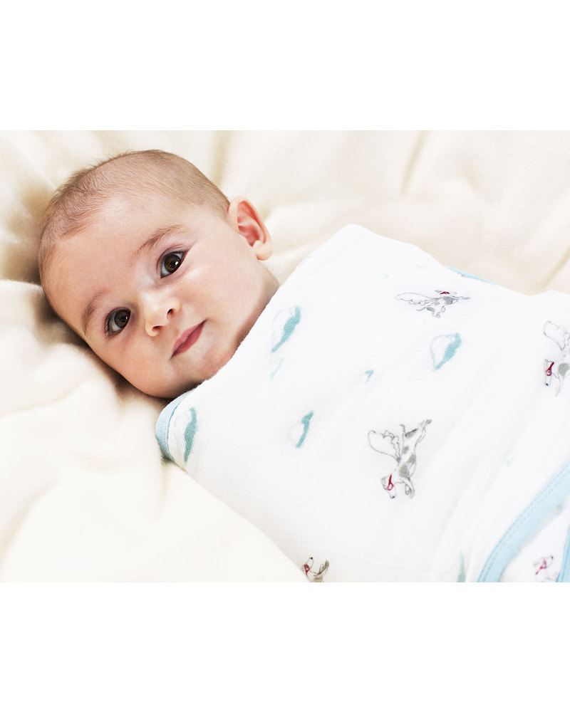 Aden and anais snap clearance swaddle