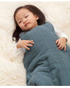 Aden & Anais Pirate Cove Cozy Plus™ Sleeping Bag 2.5 TOG - Cotton Muslin (for even the coldest nights!) Sleeping Bags