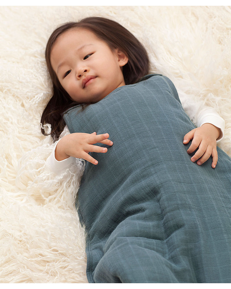 Aden and anais store sleeping bag xl