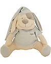Babiage Babiage Doodoo Dog, Light Blue - Repeat the Womb Sound! Soft Toys