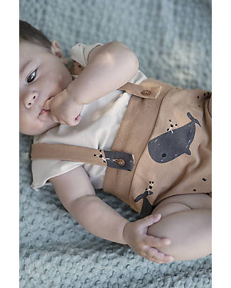 BabyClic Bloomer + T-Shirt - Whale - Organic Cotton T-shirts
