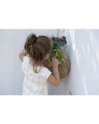 BabyClic Dress - Grid - 100% Organic Cotton Jersey Dresses_