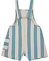 BabyClic Short Overll - Organic Cotton - Blue Stripes Short Rompers