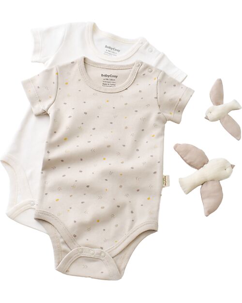 Babycosy Set 2 Short-sleeve Bodysuit Interlok - Ecru and Stone - 100% GOTS Organic Cotton Short Sleeves Bodies