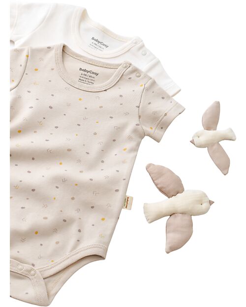 Babycosy Set 2 Short-sleeve Bodysuit Interlok - Ecru and Stone - 100% GOTS Organic Cotton Short Sleeves Bodies