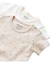 Babycosy Set 2 Short-sleeve Bodysuit Interlok - Ecru and Stone - 100% GOTS Organic Cotton Short Sleeves Bodies