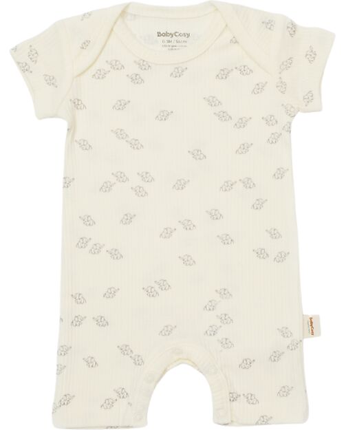Babycosy Set 2 Short Sleeves Romper Modal - Ecru and Lavander - Organic Cotton GOTS Short Rompers
