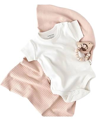 Babycosy Short-Sleeved Bodysuit - Ecru - 100% GOTS Organic Cotton Short Sleeves Bodies