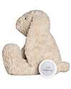 Baby's Only Cuddly Rabbit Plush Bibi - with White Noise, Lullabies, and Night Light - Sand - with Cry Detection - From birth Soft Toys