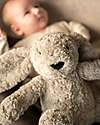 Baby's Only Cuddly Rabbit Plush Bibi - with White Noise, Lullabies, and Night Light - Taupe - with Cry Detection - From birth Soft Toys