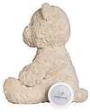 Baby's Only Teddy Bear Plush Bo with White Noise, Lullabies, and Night Light - Sand - with Cry Detection - +0 months Soft Toys