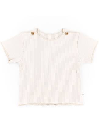 Bamboom Pure Ribbed T-Shirt - Off White - Bamboo and Organic Cotton T-shirts