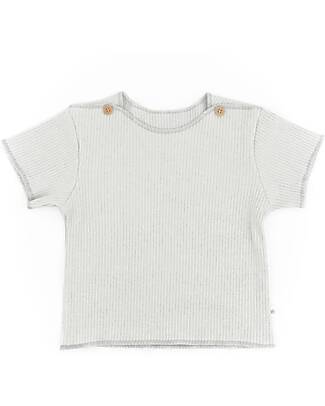 Bamboom Pure Ribbed T-Shirt - Sage - Bamboo and Organic Cotton T-shirts