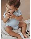 Bamboom Short Sleeves Bodysuit - Light Blue - Elasticated Organic Bamboo Short Sleeves Bodies