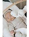 Bamboom Toy Bar for Baby Bouncer - 100% Eco-friendly Beech Wood Bouncers