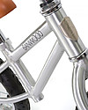 Banwood Balance Bike First Go, Chrome - For Kids from 3 to 5 years! Balance Bikes
