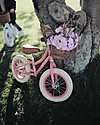 Banwood Balance Bike First Go, Coral - from 3 to 5 years old! Balance Bikes