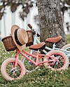 Banwood Balance Bike First Go, Coral - from 3 to 5 years old! Balance Bikes