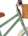 Banwood Balance Bike First Go Forest - for Children from 3 to 5 years! Balance Bikes