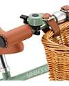 Banwood Balance Bike First Go Forest - for Children from 3 to 5 years! Balance Bikes