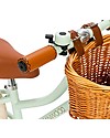 Banwood Balance Bike First Go Mint - for Children from 3 to 5 years! Balance Bikes