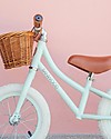 Banwood Balance Bike First Go Mint - for Children from 3 to 5 years! Balance Bikes