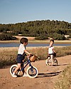 Banwood Balance Bike First Go, Navy Blue - For Kids from 3 to 5 years old! Balance Bikes