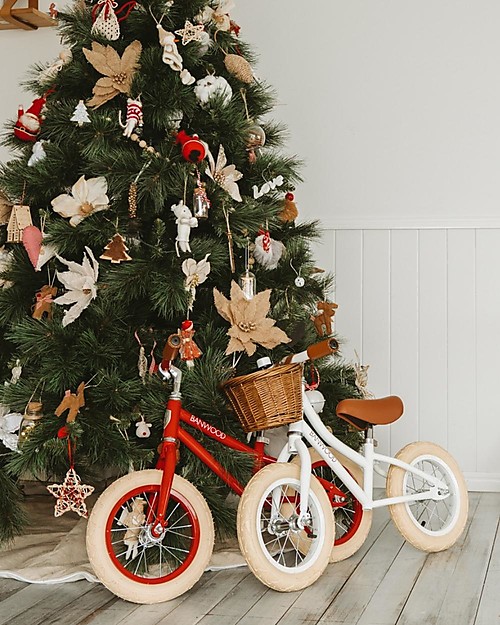 Banwood Balance Bike First Go, Red - For Kids from 3 to 5 years! Balance Bikes