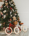Banwood Balance Bike First Go, Red - For Kids from 3 to 5 years! Balance Bikes
