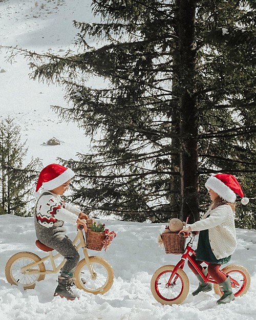 Banwood Balance Bike First Go, Red - For Kids from 3 to 5 years! Balance Bikes