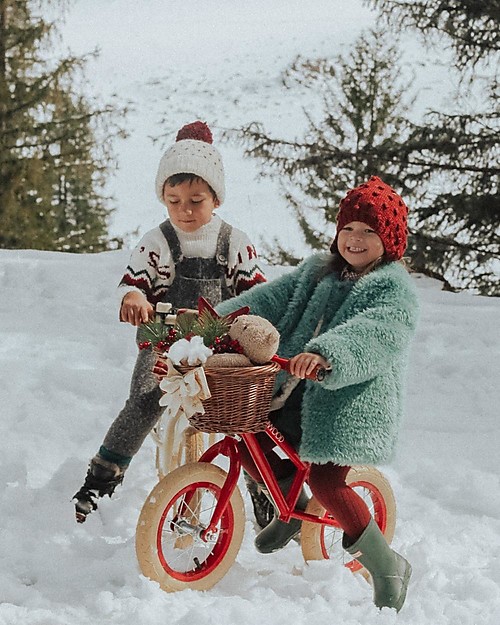 Banwood Balance Bike First Go, Red - For Kids from 3 to 5 years! Balance Bikes