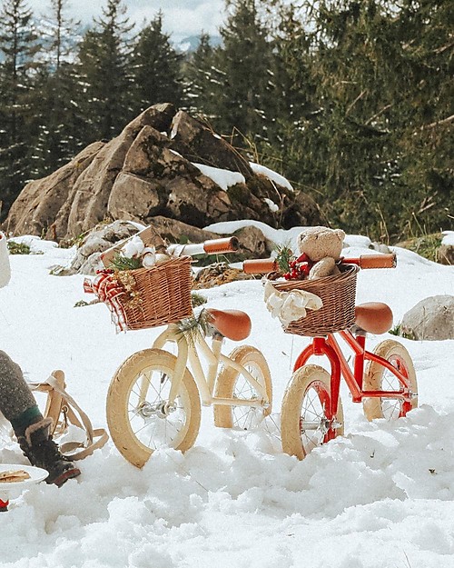 Banwood Balance Bike First Go, Red - For Kids from 3 to 5 years! Balance Bikes