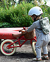 Banwood Balance Bike First Go, Red - For Kids from 3 to 5 years! Balance Bikes