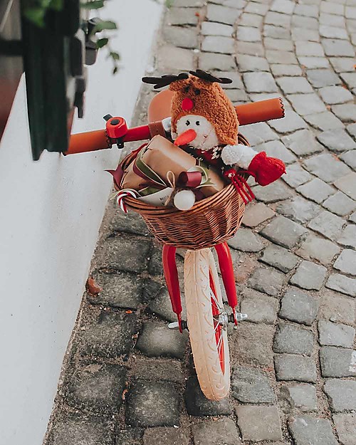 Banwood Balance Bike First Go, Red - For Kids from 3 to 5 years! Balance Bikes