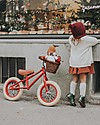 Banwood Balance Bike First Go, Red - For Kids from 3 to 5 years! Balance Bikes