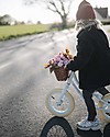 Banwood Balance Bike First Go, Sky - from 3 to 5 years old! Balance Bikes
