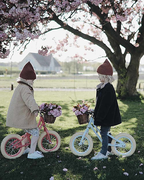 Banwood Balance Bike First Go, Sky - from 3 to 5 years old! Balance Bikes