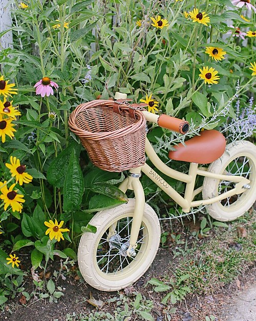 Banwood Balance Bike First Go, Vanilla - For Girls from 3 to 5 years old! Balance Bikes