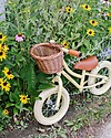 Banwood Balance Bike First Go, Vanilla - For Girls from 3 to 5 years old! Balance Bikes