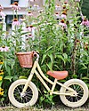 Banwood Balance Bike First Go, Vanilla - For Girls from 3 to 5 years old! Balance Bikes